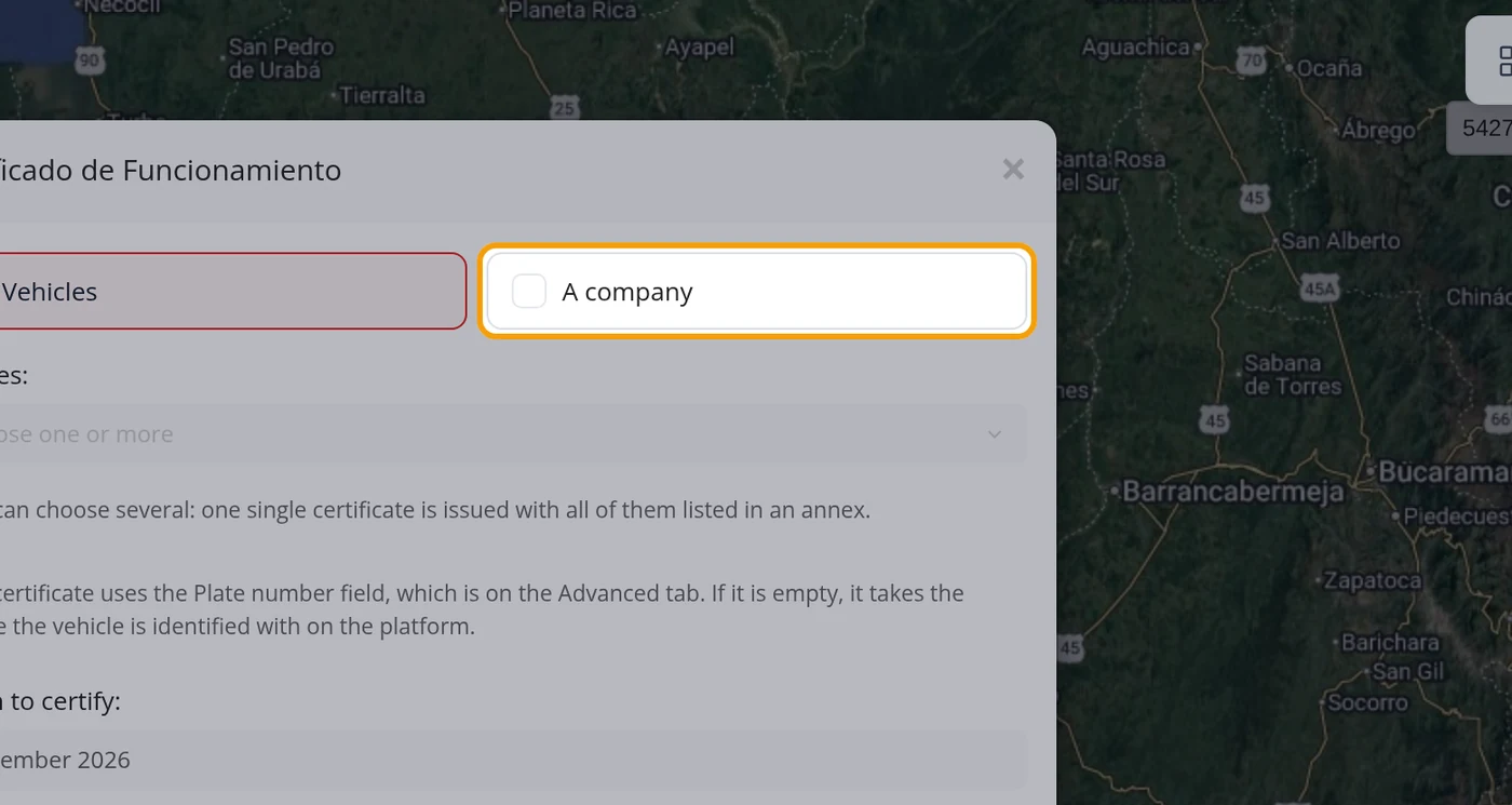 One vehicle, several, or the whole company