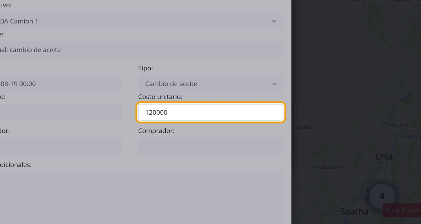 Paso 10: Ponga cantidad y costo