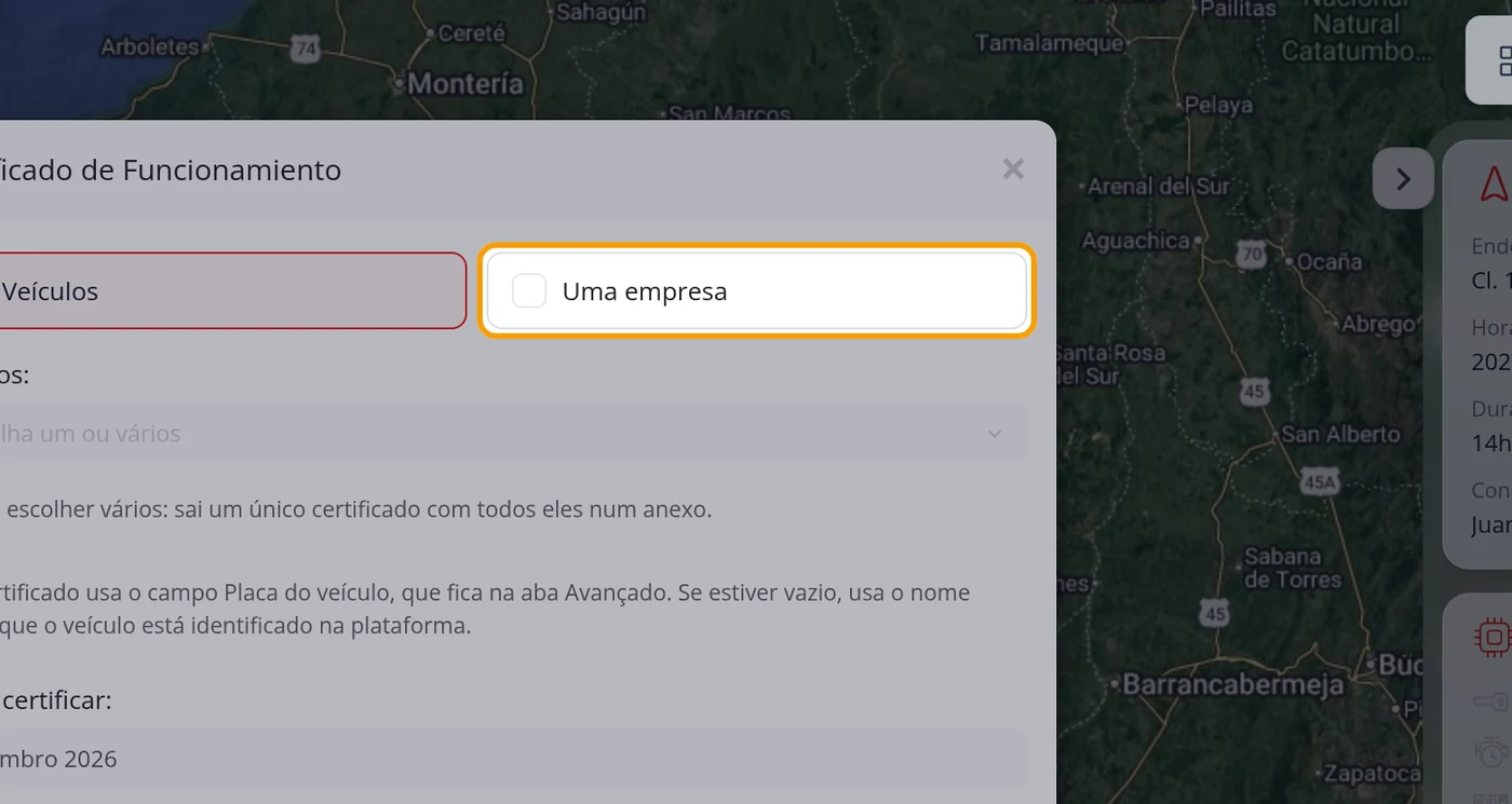 Um veículo, vários ou a empresa inteira